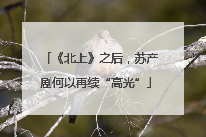 《北上》之后，苏产剧何以再续“高光”