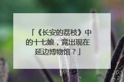 《长安的荔枝》中的十七娘，竟出现在延边博物馆？