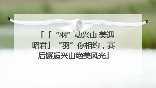 「“羽”动兴山 美遇昭君」“羽”你相约，赛后邂逅兴山绝美风光