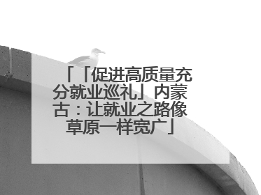 「促进高质量充分就业巡礼」内蒙古：让就业之路像草原一样宽广