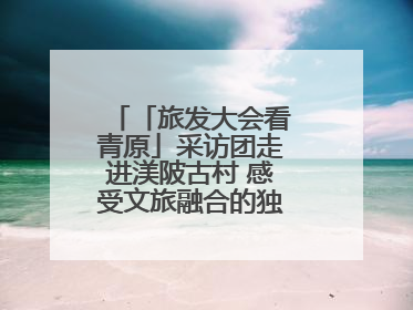 「旅发大会看青原」采访团走进渼陂古村 感受文旅融合的独特魅力（图）