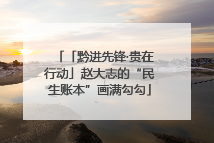 「黔进先锋·贵在行动」赵大志的“民生账本”画满勾勾