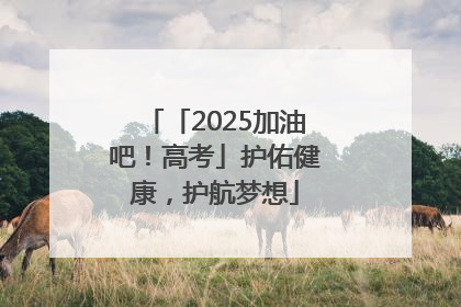 「2025加油吧！高考」护佑健康，护航梦想