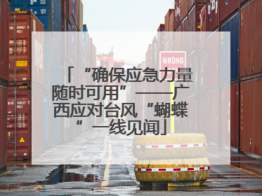 “确保应急力量随时可用”——广西应对台风“蝴蝶”一线见闻