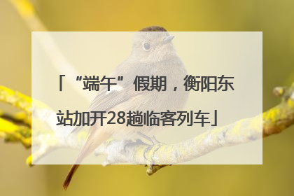 “端午”假期，衡阳东站加开28趟临客列车