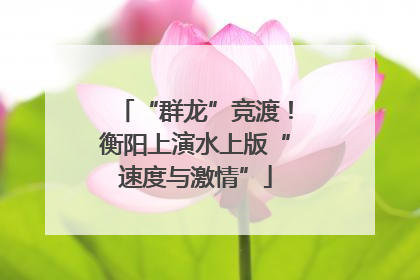 “群龙”竞渡！衡阳上演水上版“速度与激情”