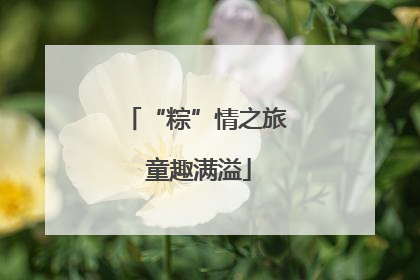 “粽”情之旅 童趣满溢
