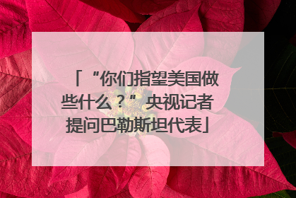“你们指望美国做些什么？”央视记者提问巴勒斯坦代表
