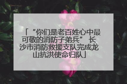 “你们是老百姓心中最可敬的消防子弟兵” 长沙市消防救援支队完成龙山抗洪使命归队