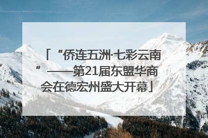 “侨连五洲·七彩云南”——第21届东盟华商会在德宏州盛大开幕