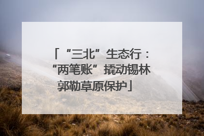 “三北”生态行：“两笔账”撬动锡林郭勒草原保护