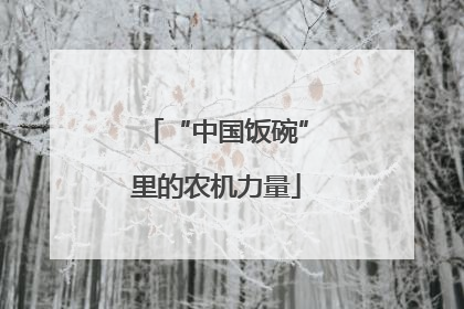 “中国饭碗”里的农机力量