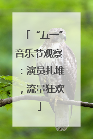 “五一”音乐节观察：演员扎堆，流量狂欢