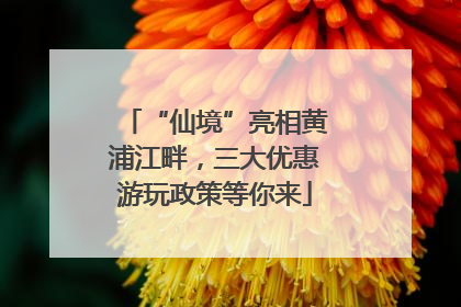 “仙境”亮相黄浦江畔，三大优惠游玩政策等你来