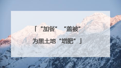 “加餐”“盖被” 为黑土地“增肥”