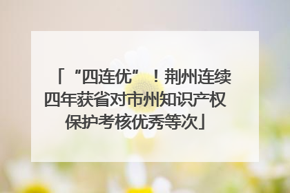 “四连优”！荆州连续四年获省对市州知识产权保护考核优秀等次