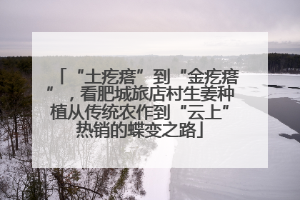 “土疙瘩”到“金疙瘩”，看肥城旅店村生姜种植从传统农作到“云上”热销的蝶变之路