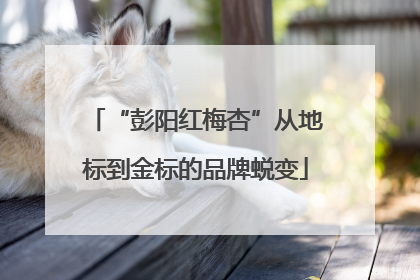 “彭阳红梅杏”从地标到金标的品牌蜕变