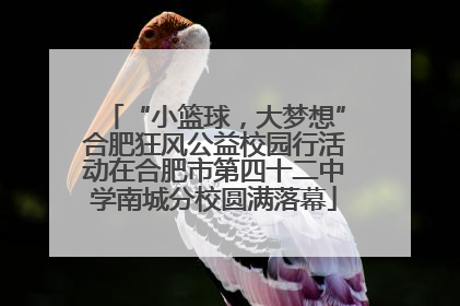 “小篮球，大梦想”合肥狂风公益校园行活动在合肥市第四十二中学南城分校圆满落幕