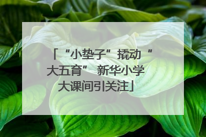 “小垫子”撬动“大五育” 新华小学大课间引关注
