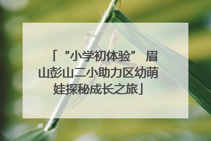 “小学初体验” 眉山彭山二小助力区幼萌娃探秘成长之旅