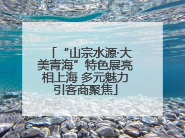 “山宗水源·大美青海”特色展亮相上海 多元魅力引客商聚焦