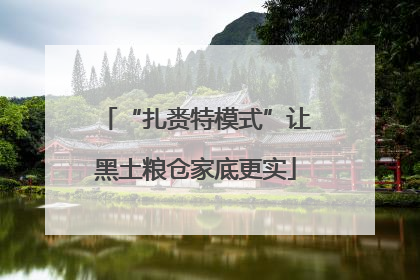“扎赉特模式”让黑土粮仓家底更实