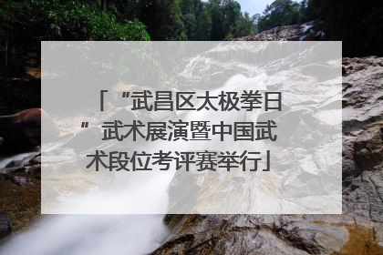“武昌区太极拳日”武术展演暨中国武术段位考评赛举行