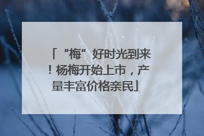 “梅”好时光到来！杨梅开始上市，产量丰富价格亲民