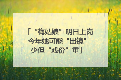 “梅姑娘”明日上岗 今年她可能“出镜”少但“戏份”重