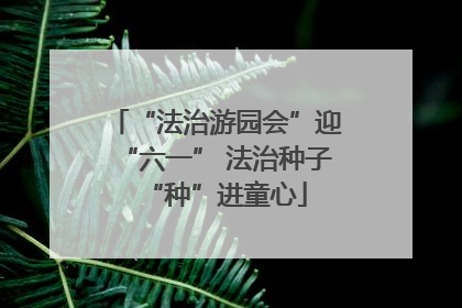 “法治游园会”迎“六一” 法治种子“种”进童心