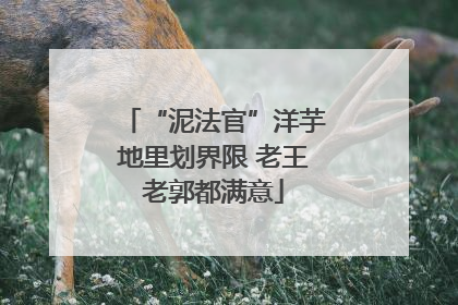 “泥法官”洋芋地里划界限 老王老郭都满意