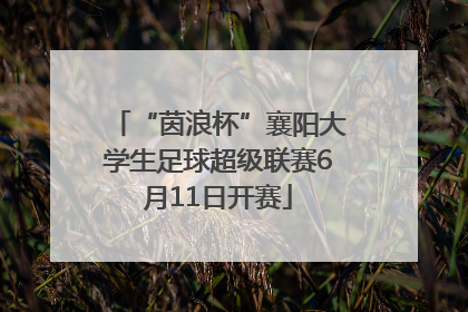 “茵浪杯”襄阳大学生足球超级联赛6月11日开赛