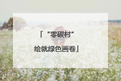 “零碳村” 绘就绿色画卷