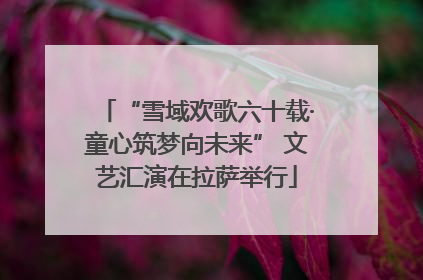 “雪域欢歌六十载·童心筑梦向未来” 文艺汇演在拉萨举行