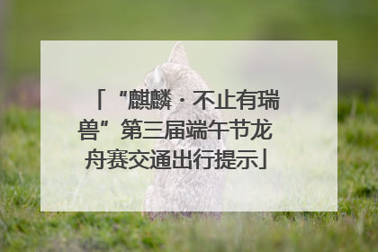 “麒麟・不止有瑞兽”第三届端午节龙舟赛交通出行提示