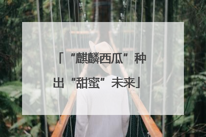 “麒麟西瓜”种出“甜蜜”未来
