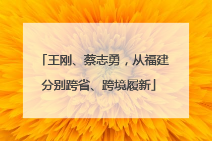 王刚、蔡志勇，从福建分别跨省、跨境履新