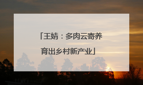 王婧：多肉云寄养 育出乡村新产业