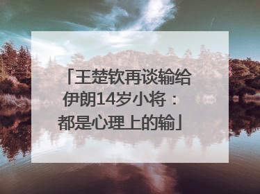 王楚钦再谈输给伊朗14岁小将：都是心理上的输