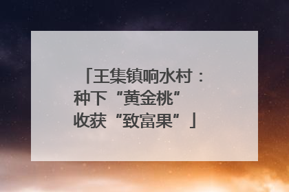 王集镇响水村：种下“黄金桃” 收获“致富果”