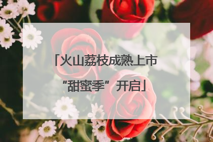 火山荔枝成熟上市 “甜蜜季”开启