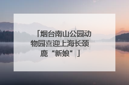 烟台南山公园动物园喜迎上海长颈鹿“新娘”
