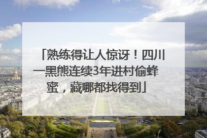 熟练得让人惊讶！四川一黑熊连续3年进村偷蜂蜜，藏哪都找得到