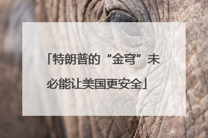 特朗普的“金穹”未必能让美国更安全