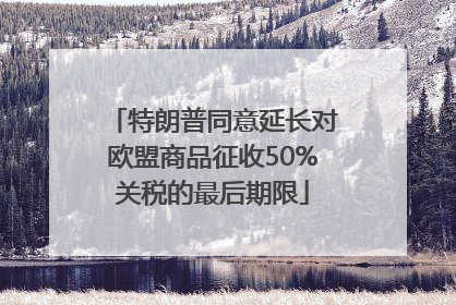 特朗普同意延长对欧盟商品征收50%关税的最后期限