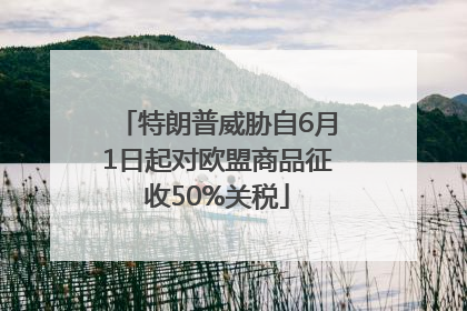 特朗普威胁自6月1日起对欧盟商品征收50%关税