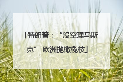 特朗普：“没空理马斯克” 欧洲抛橄榄枝