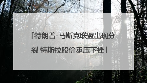 特朗普-马斯克联盟出现分裂 特斯拉股价承压下挫