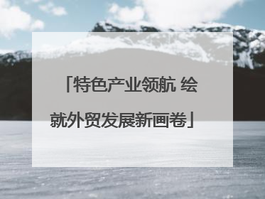 特色产业领航 绘就外贸发展新画卷